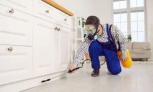 Disinfestatore che si appresta a disinfestare una stanza da insetti in un abitazione privata