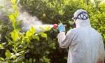 disinfestatore che effettua una disinfestazione in un giardino