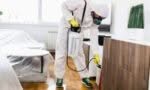 disinfestatore di cimici in abitazione